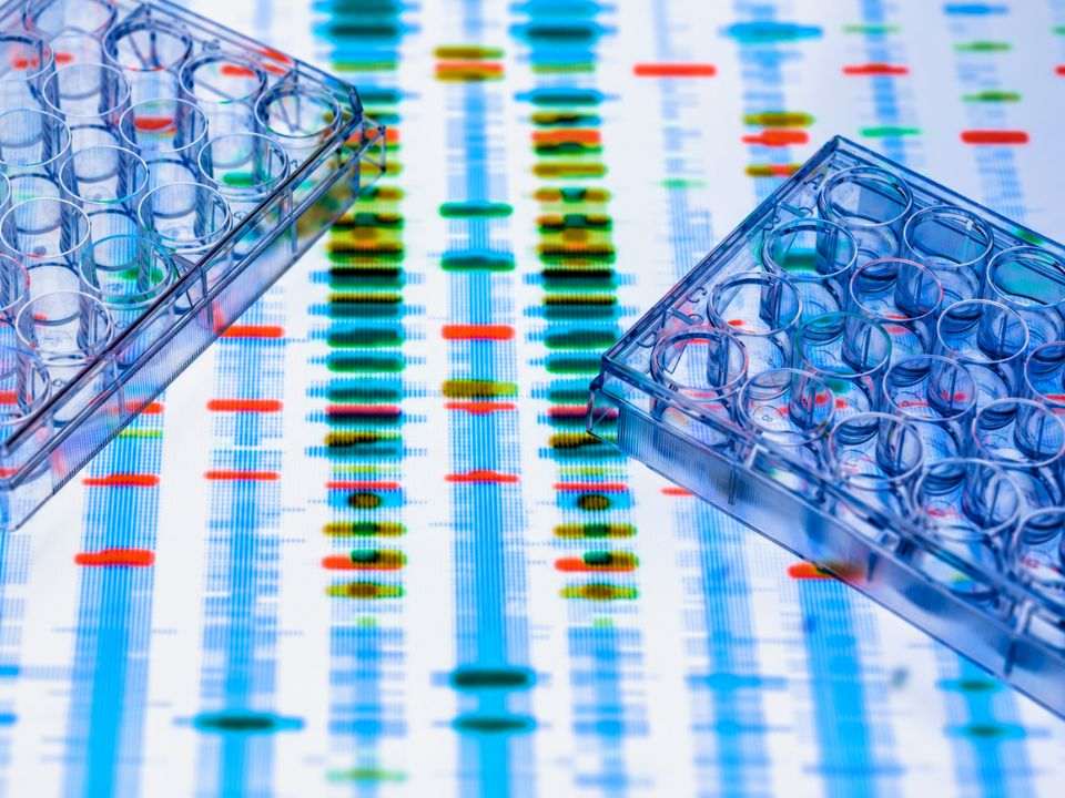 Placas laboratoriais sobre representação de padrões genéticos, ilustrando testes genéticos na leucemia infantil.