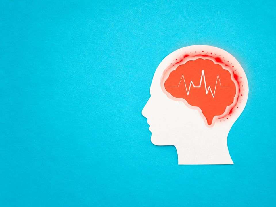 Ilustração de cabeça humana com cérebro e meninges destacadas em vermelho, remetendo à inflamação e ao diagnóstico laboratorial da meningite.