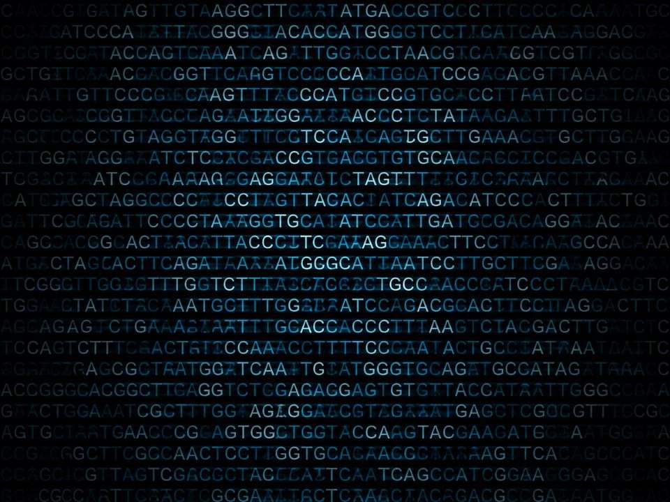 O genoma de referência pode influenciar a interpretação dos testes genéticos preventivos.